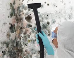 Best Forensic Mold Investigation in Plumas Lake, CA